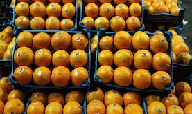 میوه پرتقال
