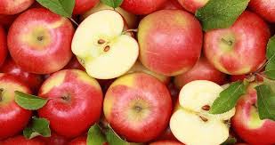 فروش عمده شانه میوه سیب