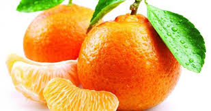 قیمت فروش شانه میوه نارنگی