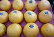 شانه میوه پرتقال