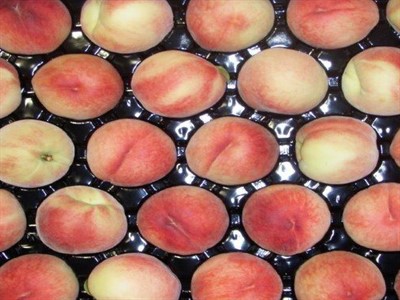 خرید و فروش شانه میوه هلو